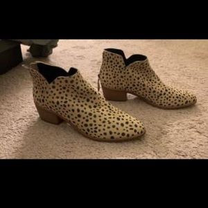 Dolce Vita leopard print booties.